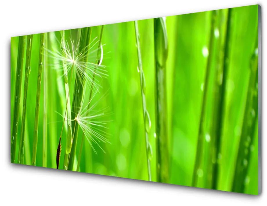 Nástenný panel  Tráva rastlina príroda 140x70 cm