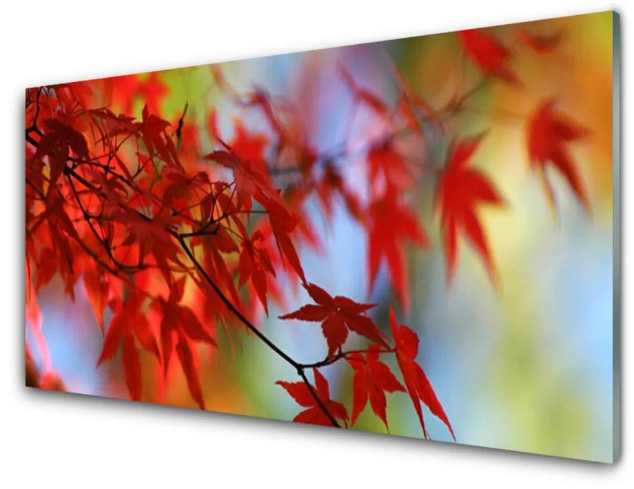 Obraz na akrylátovom skle Listy príroda 140x70 cm