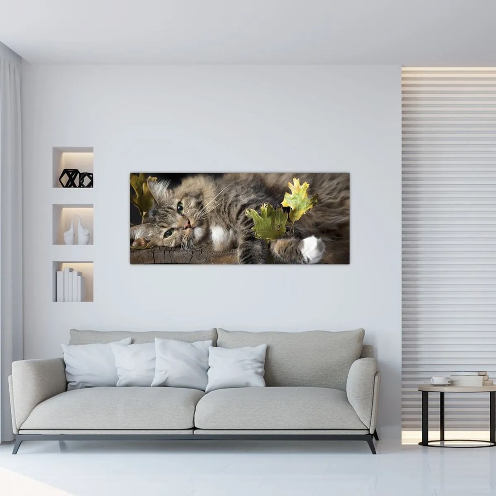 Obraz - Ležiaca mačka (120x50 cm)