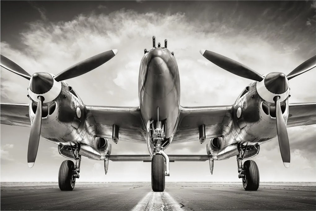 Obraz - Warbird (90x60 cm)