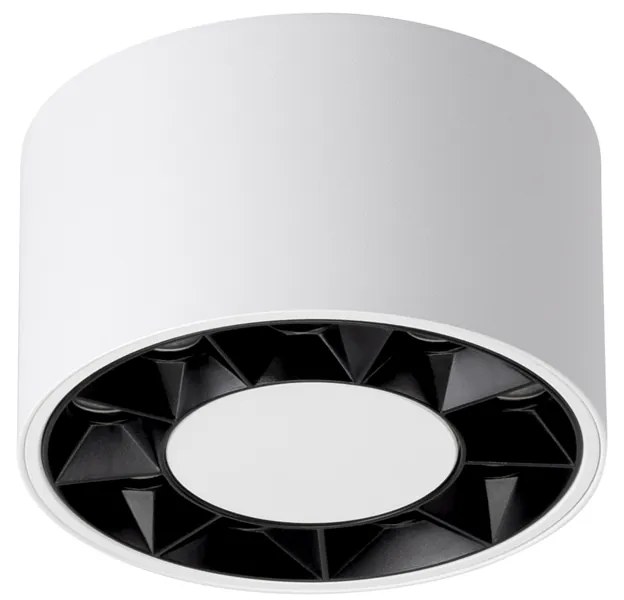 Stropné LED svietidlo Dio, 1x LED 10w, 4000k, w