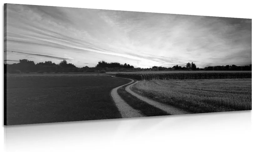 Obraz zapadajúce slnko nad krajinou v čiernobielom prevedení Varianta: 100x50