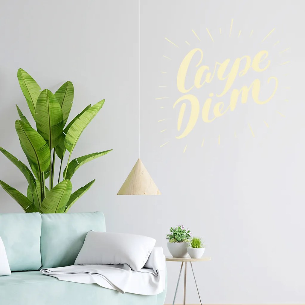 Veselá Stena Samolepka Carpe Diem (Užívaj dňa) Farba: hnedá, Veľkosť: 100 x 100 cm