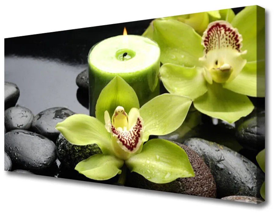 Obraz Canvas Kvet kamene rastlina 140x70cm