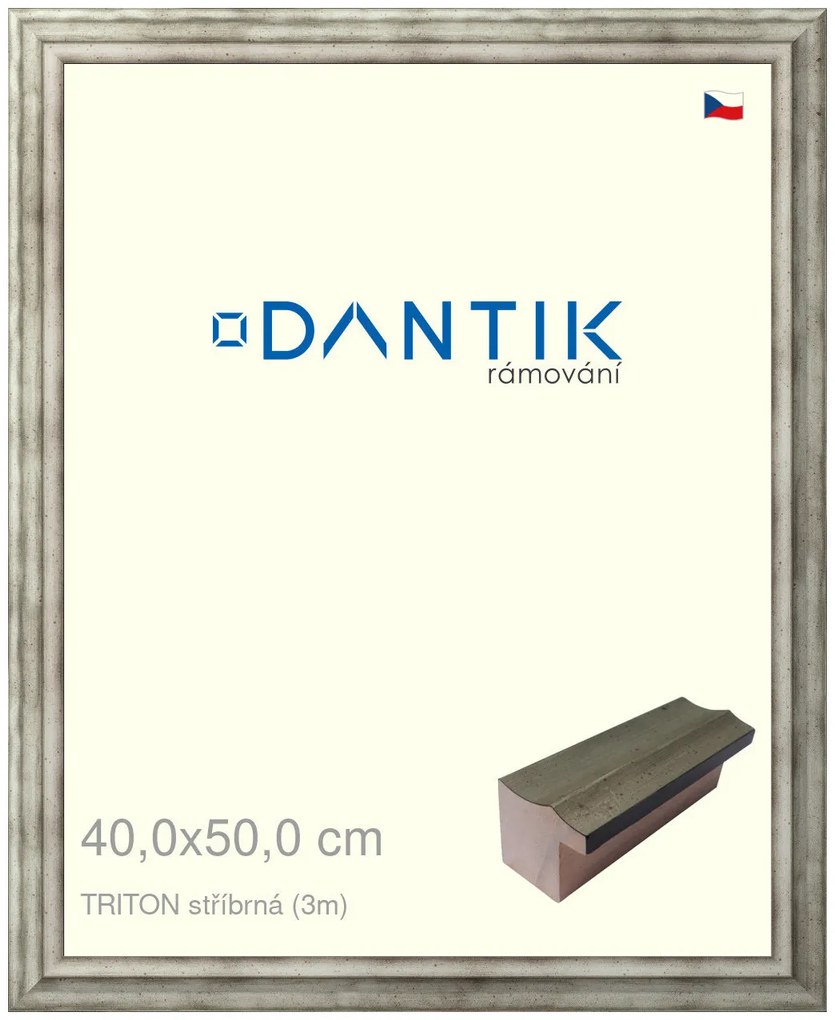 DANTIK rám na obraz 40x50 | TRITON stříbrná (Plexi Čiré)