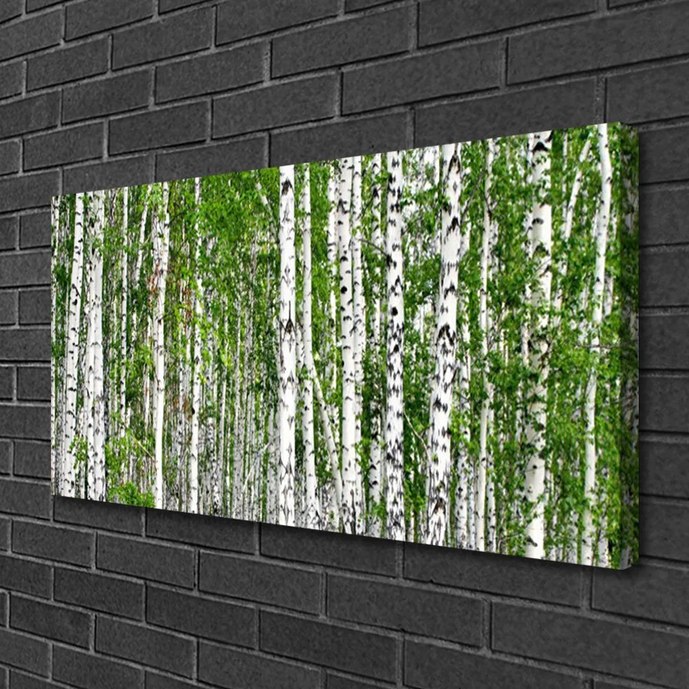 Obraz na plátne Breza les stromy príroda 125x50 cm