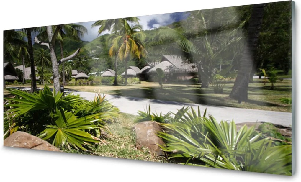 Plexisklo obraz Listy palmy stromy příroda