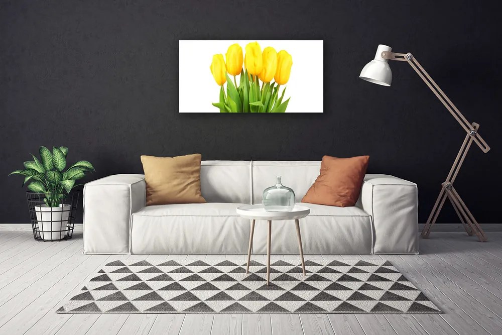 Obraz Canvas Tulipány kvety rastlina 140x70 cm