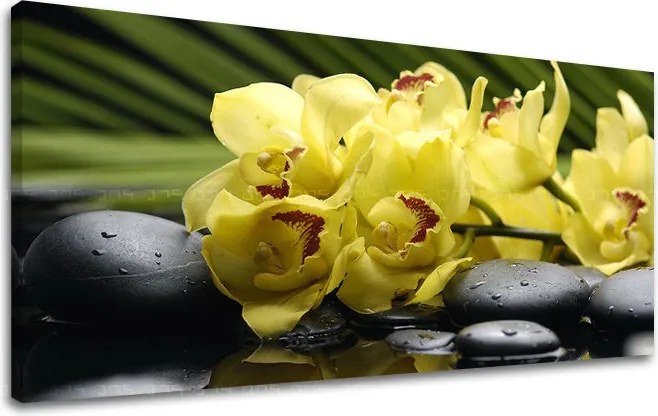 Obraz na stenu PANORÁMA FENG SHUI FS012E13