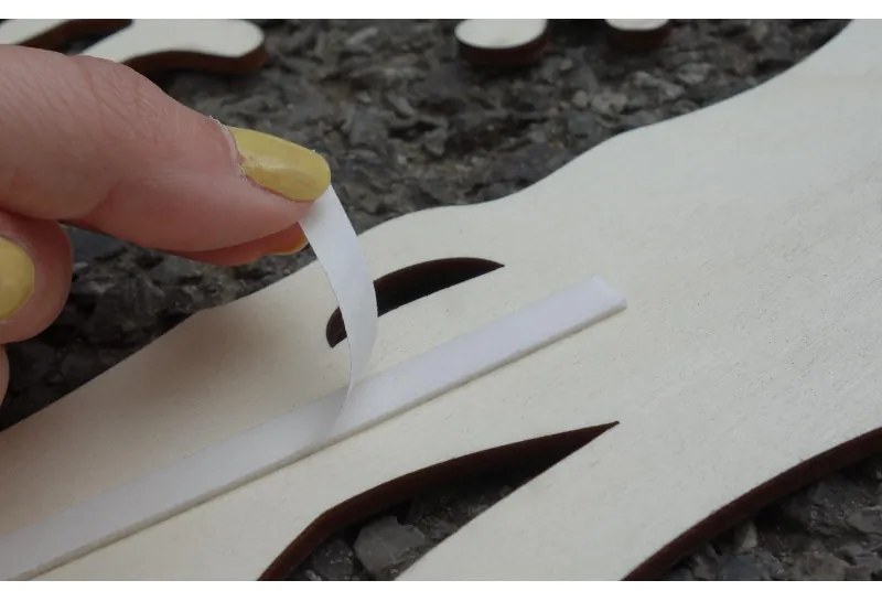 Dekoračný obraz na stenu zebra  I SENTOP PR0328 PREGLEJKA