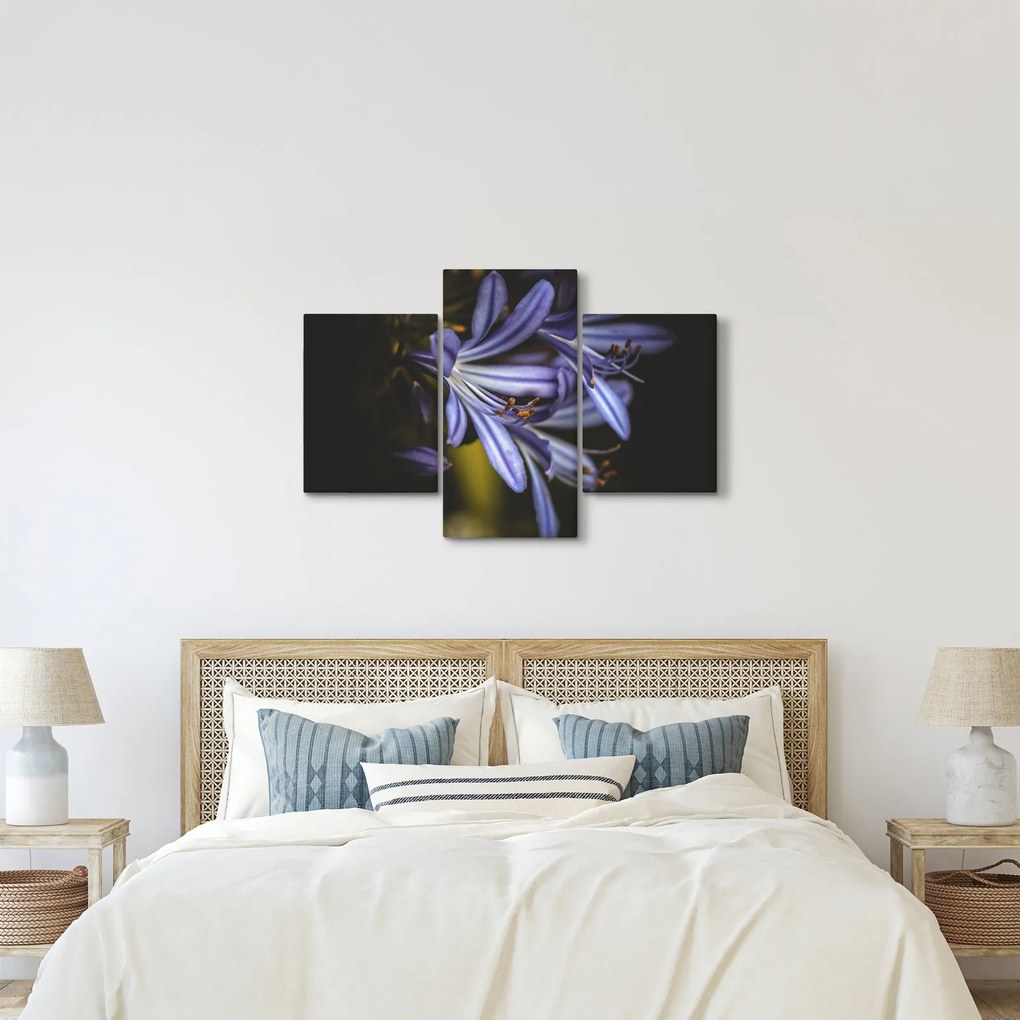 Obraz - Lila (90x60 cm)