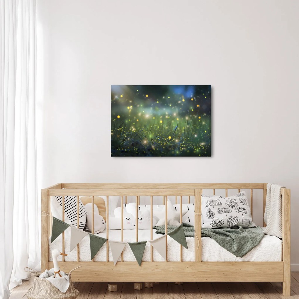 Obraz - Čarovná noc (70x50 cm)