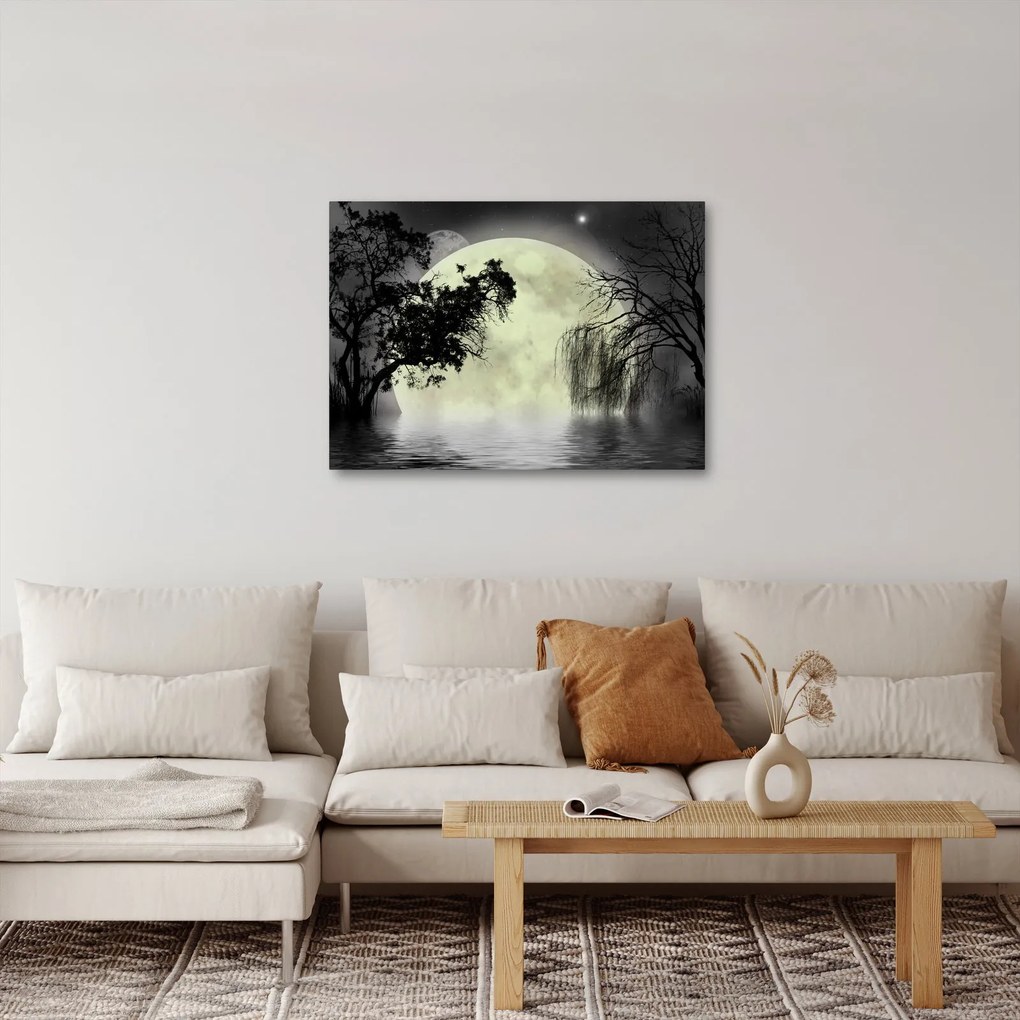Obraz - Spln nad hladinou, čiernobiely variant (70x50 cm)