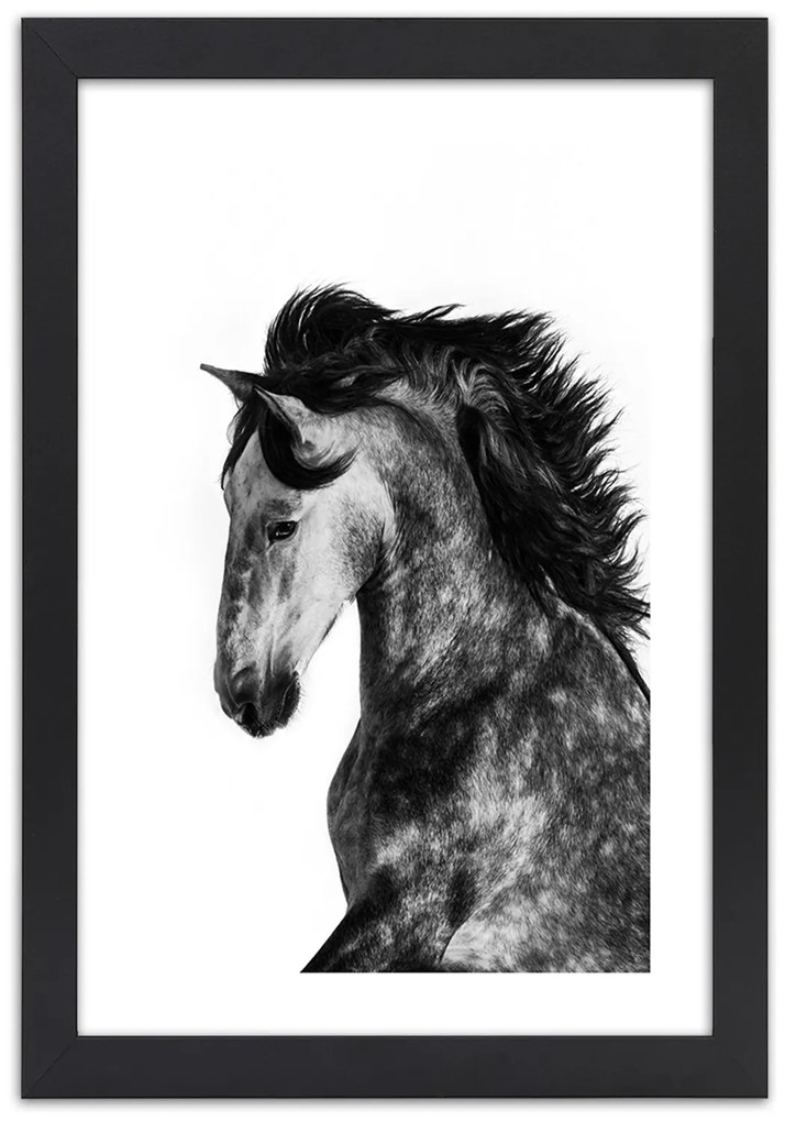 Gario Plagát Divoký orol Farba rámu: Bez rámu, Rozmery: 30 x 45 cm