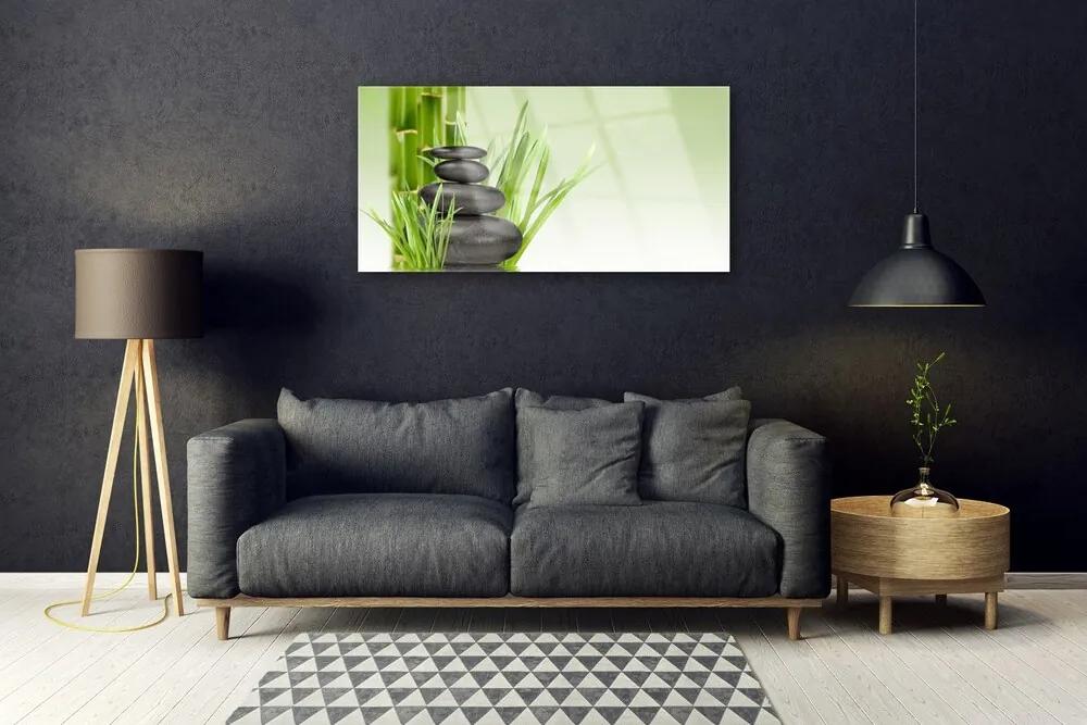Obraz plexi Bambus tráva rastlina príroda 100x50 cm