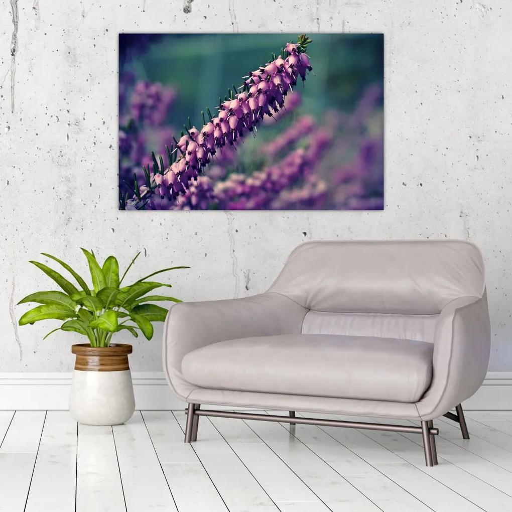 Obraz fialovej kvetiny (90x60 cm)