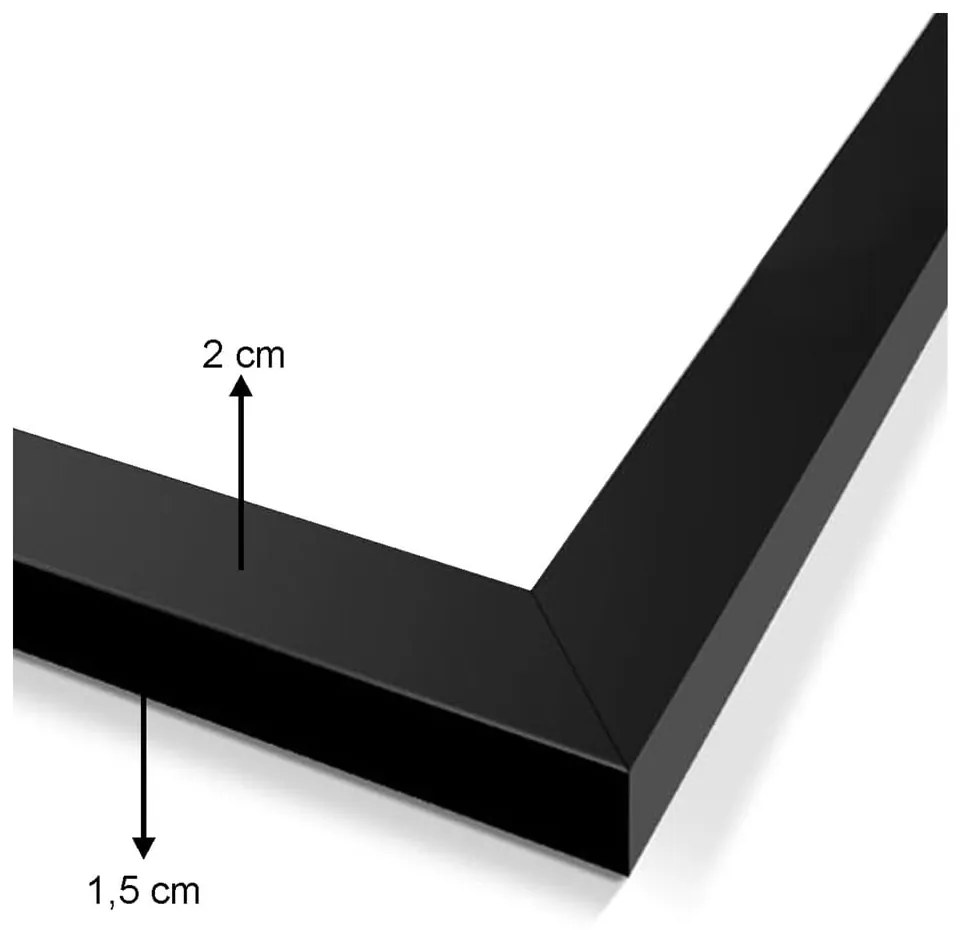 Obrazy v súprave 5 ks Butterfly – Wallity