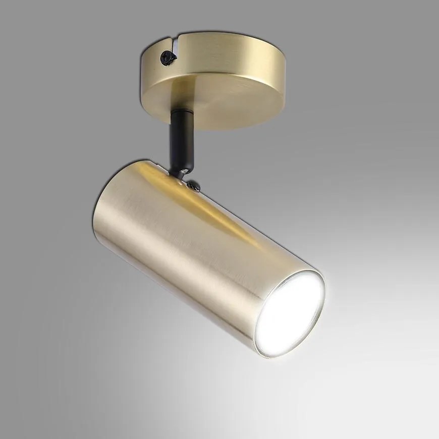 Nástenné bodové svietidlo  Colly 1X15W Zlatý LS1