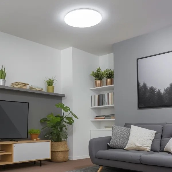 Brilagi - LED Stmievateľné stropné svietidlo SMART LED/24W/230V Wi-Fi Tuya + DO