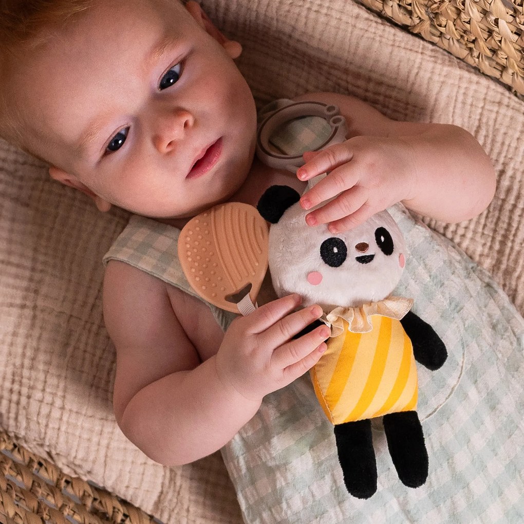Panda Pamela