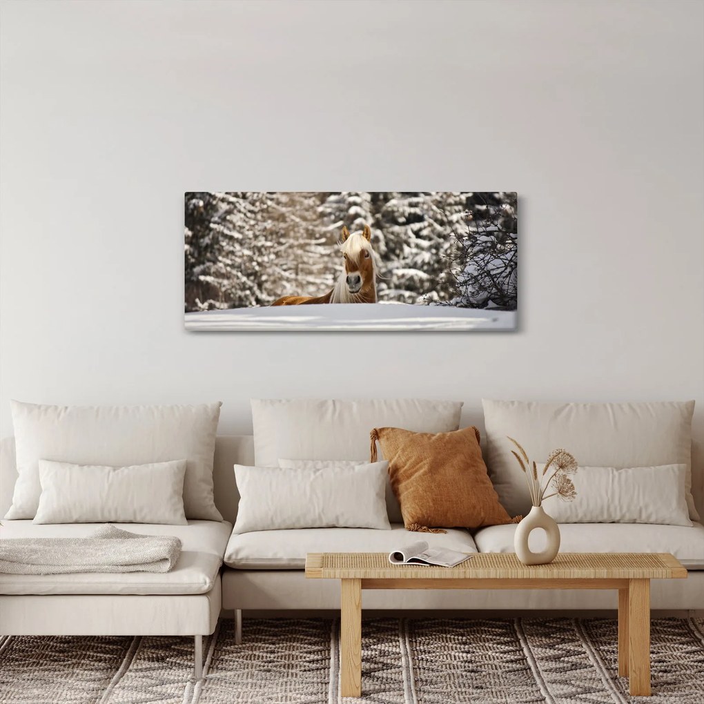 Obraz - Kôň v zimnej krajine (120x50 cm)