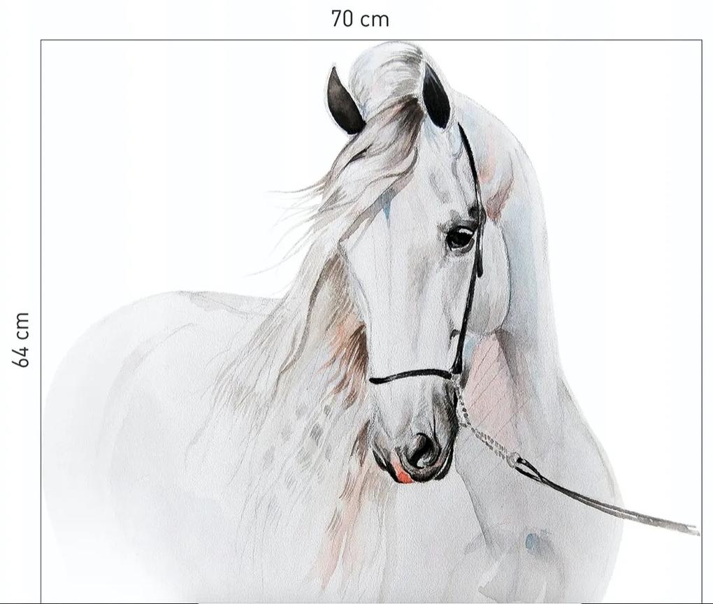 Krásna nálepka na stenus motívom bieleho koňa