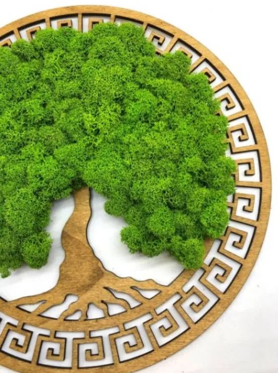 Strom na stenu z machu Hermiona 30 cm