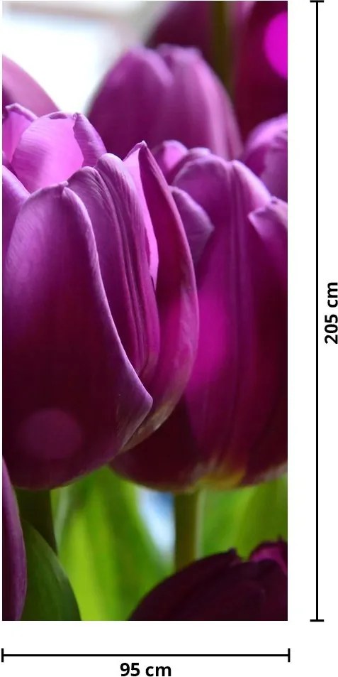 Fototapeta na dvere - Tulipány (95x205cm)
