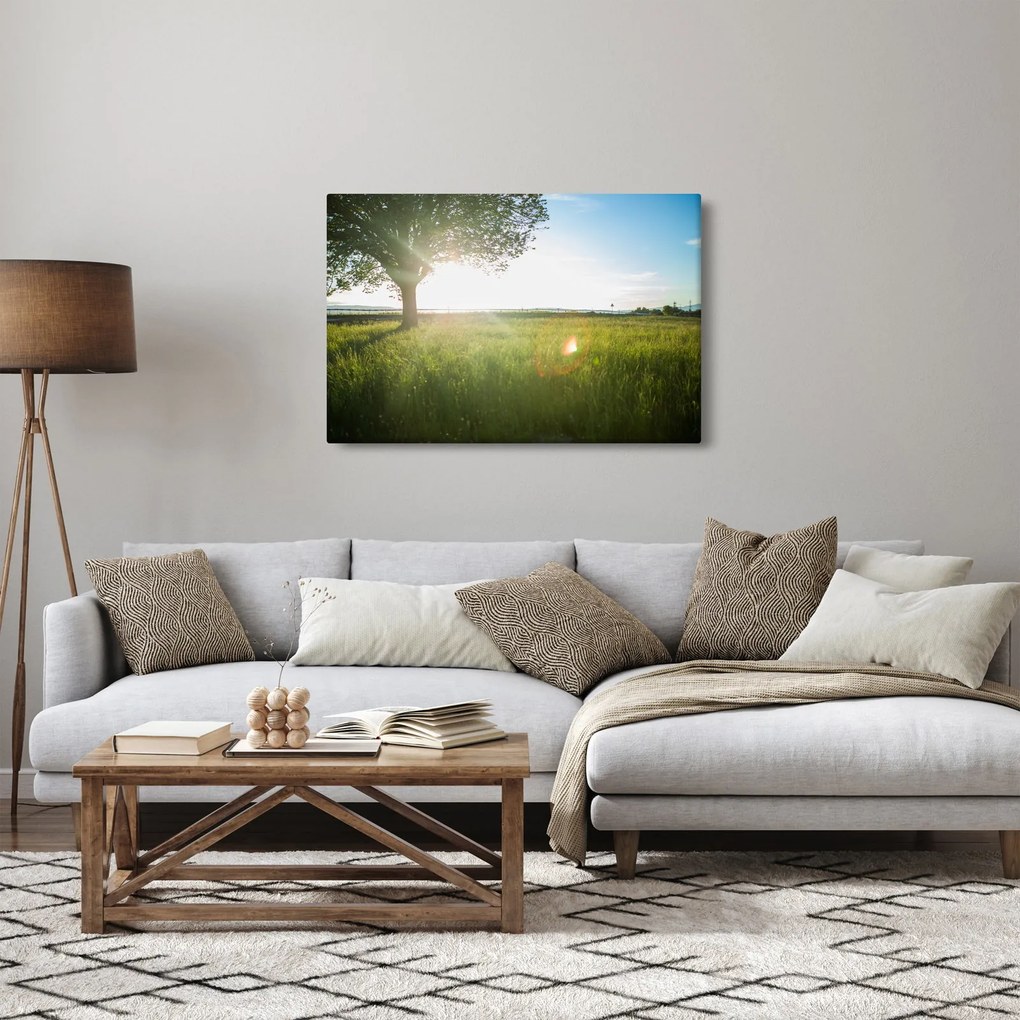 Obraz letnej lúky (90x60 cm)