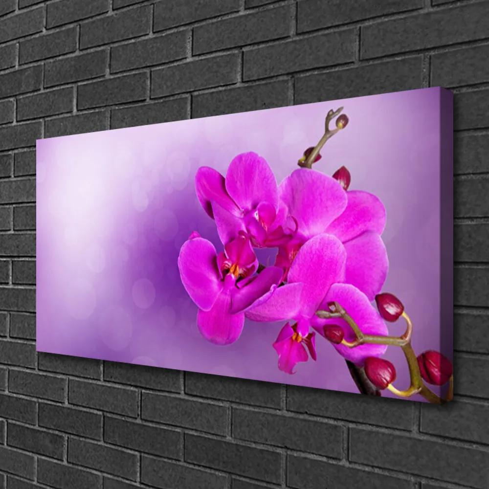 Obraz Canvas Kvety plátky orchidea 120x60 cm