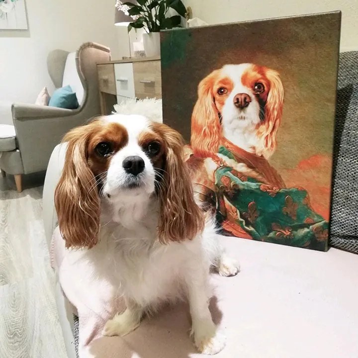 Obraz z fotky na plátne Generál_1 – 40x50 cm | rôzne uniformy