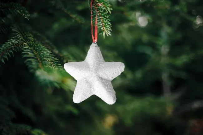 Závesné hviezdy 5ks biele KL-21X21