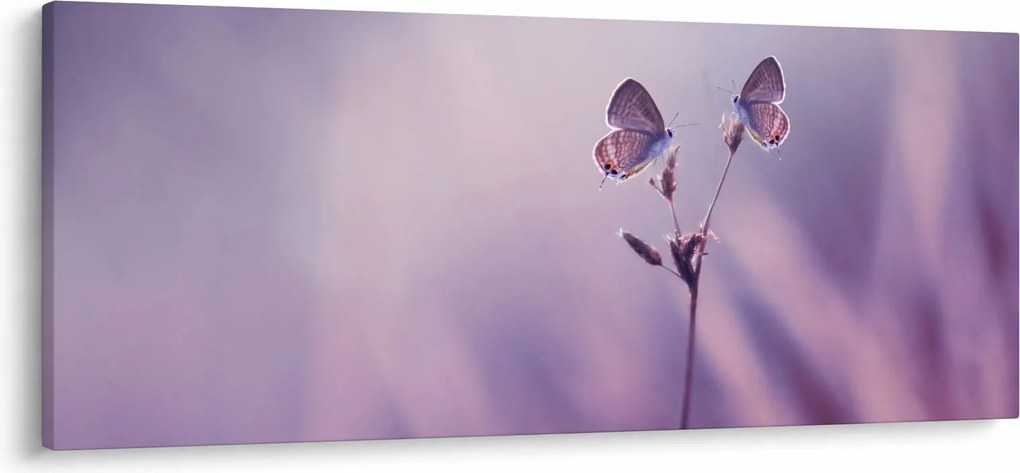 Obraz - Fialové motýliky (120x50 cm)
