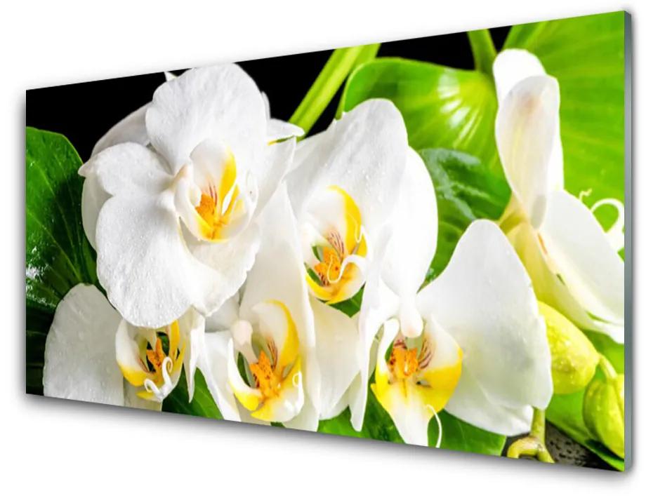 Skleneny obraz Orchidea kvety príroda 140x70cm