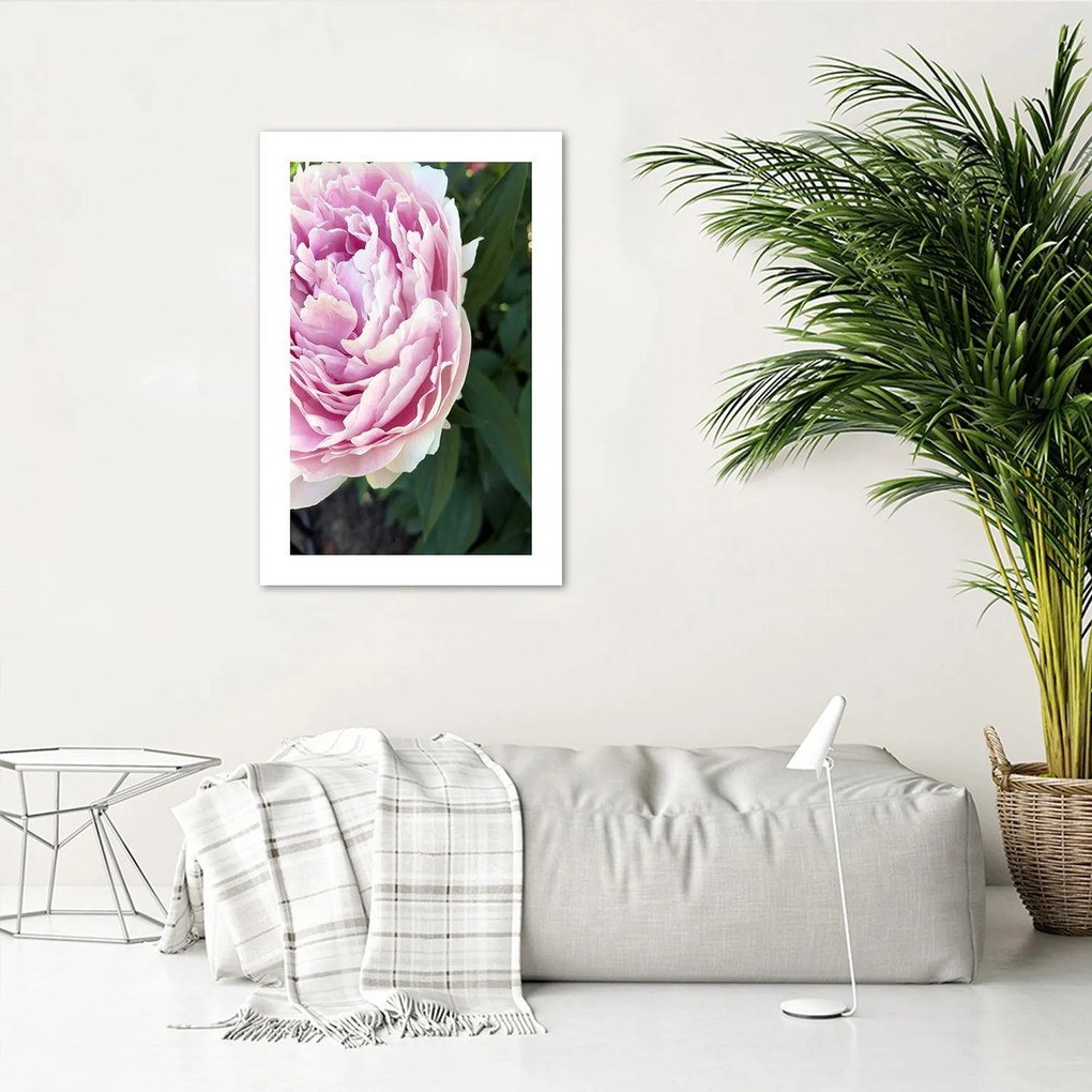 Gario Plagát Pekná ružová pivonka Farba rámu: Bez rámu, Rozmery: 20 x 30 cm