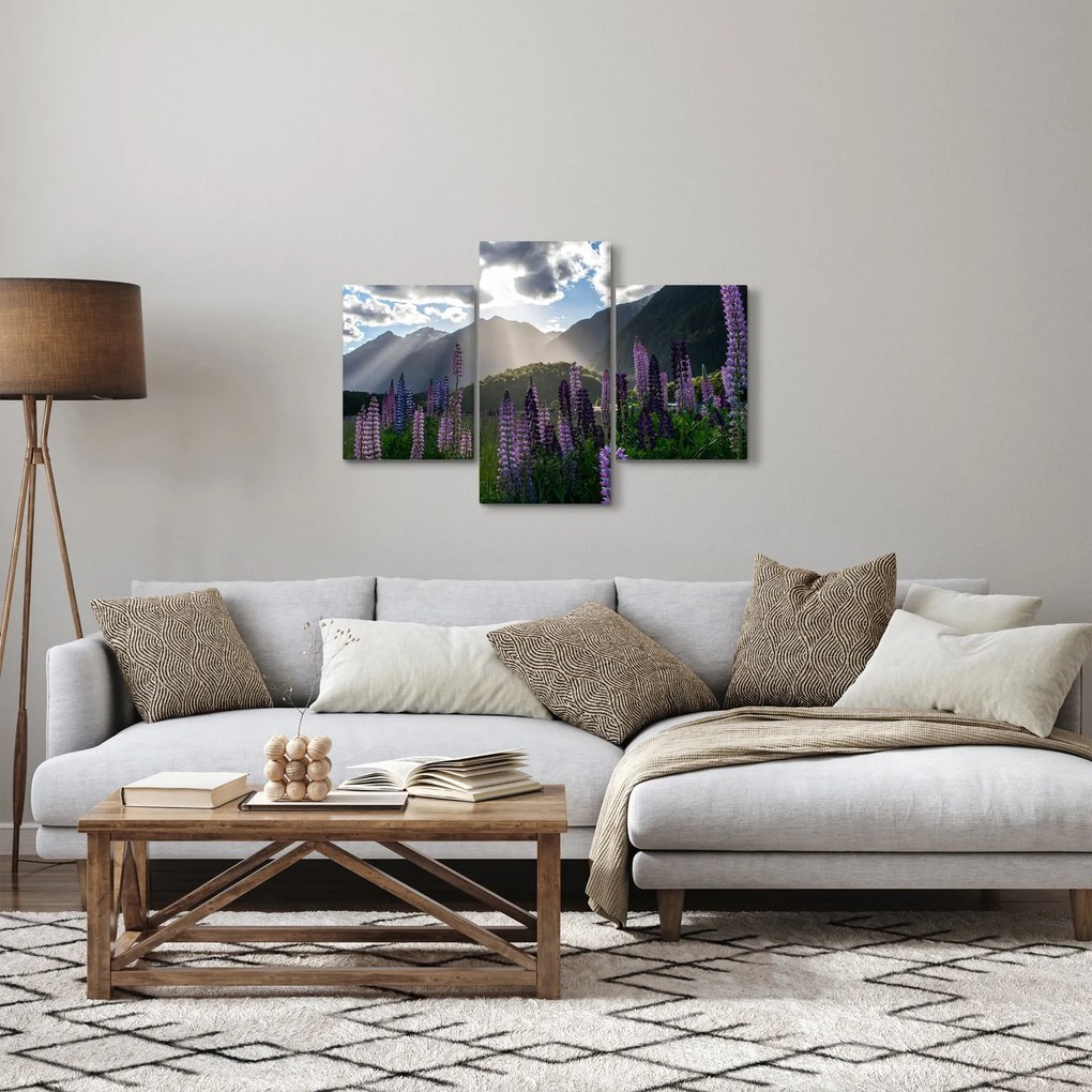 Obraz - Scenérie vlčích bôbov (90x60 cm)