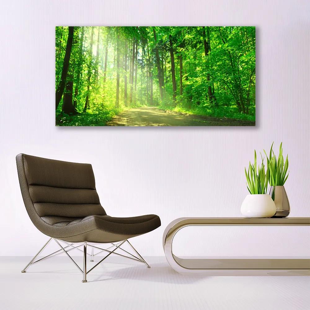 Obraz plexi Les cestička stromy príroda 120x60 cm