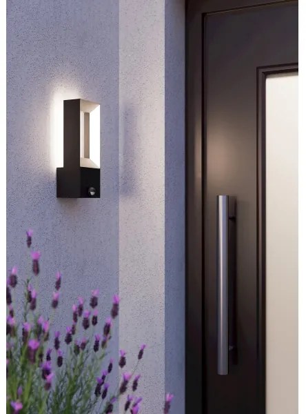 Eglo 98726 - LED Vonkajšie svietidlo so senzorom RIFORANO 2xLED/5W/230V IP44