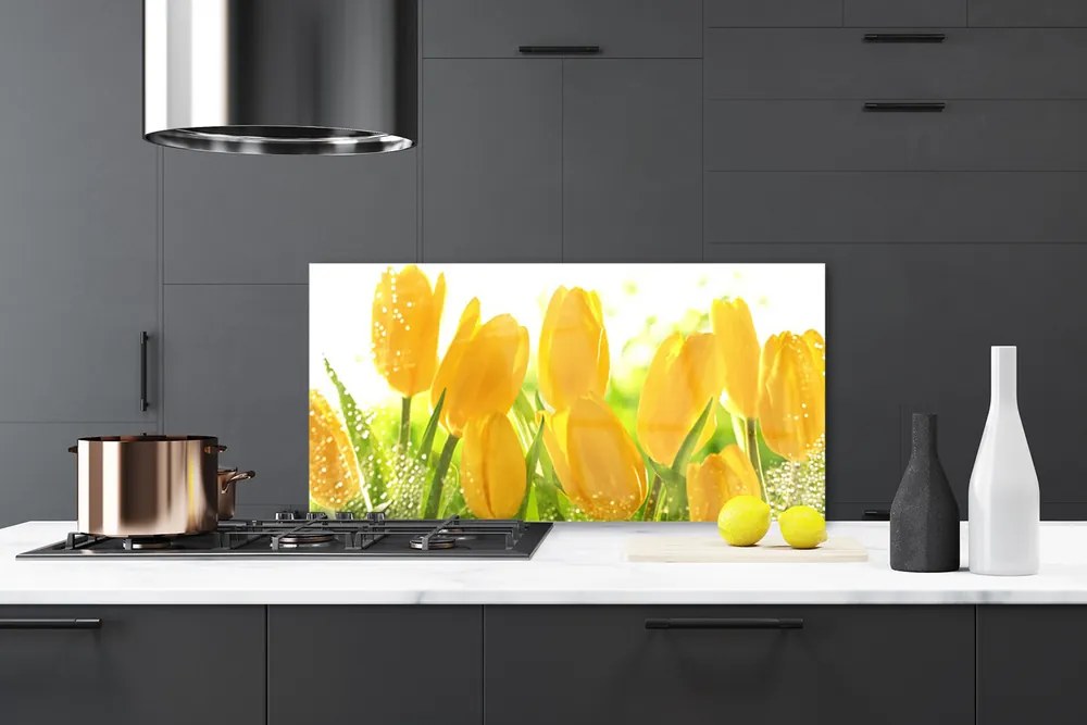 Sklenený obklad Do kuchyne Tulipány kvety rastlina 120x60 cm