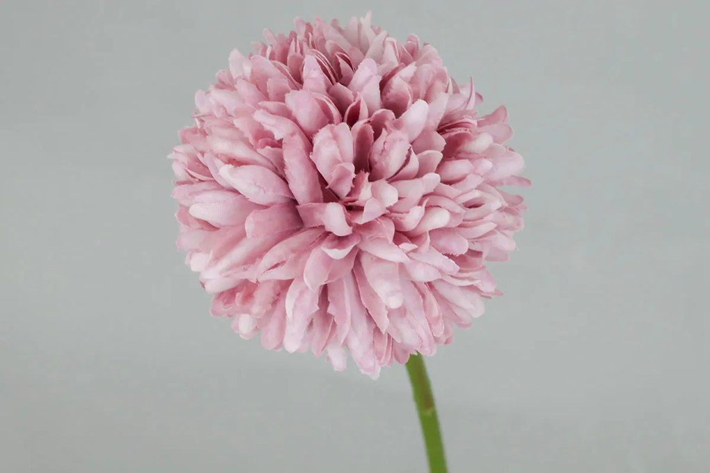 Kvet cesnaku, farba tmavo ružová 29x7x7cm