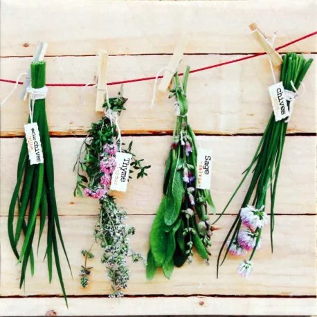 Obraz tlačený na plátne 28x28 PRC260