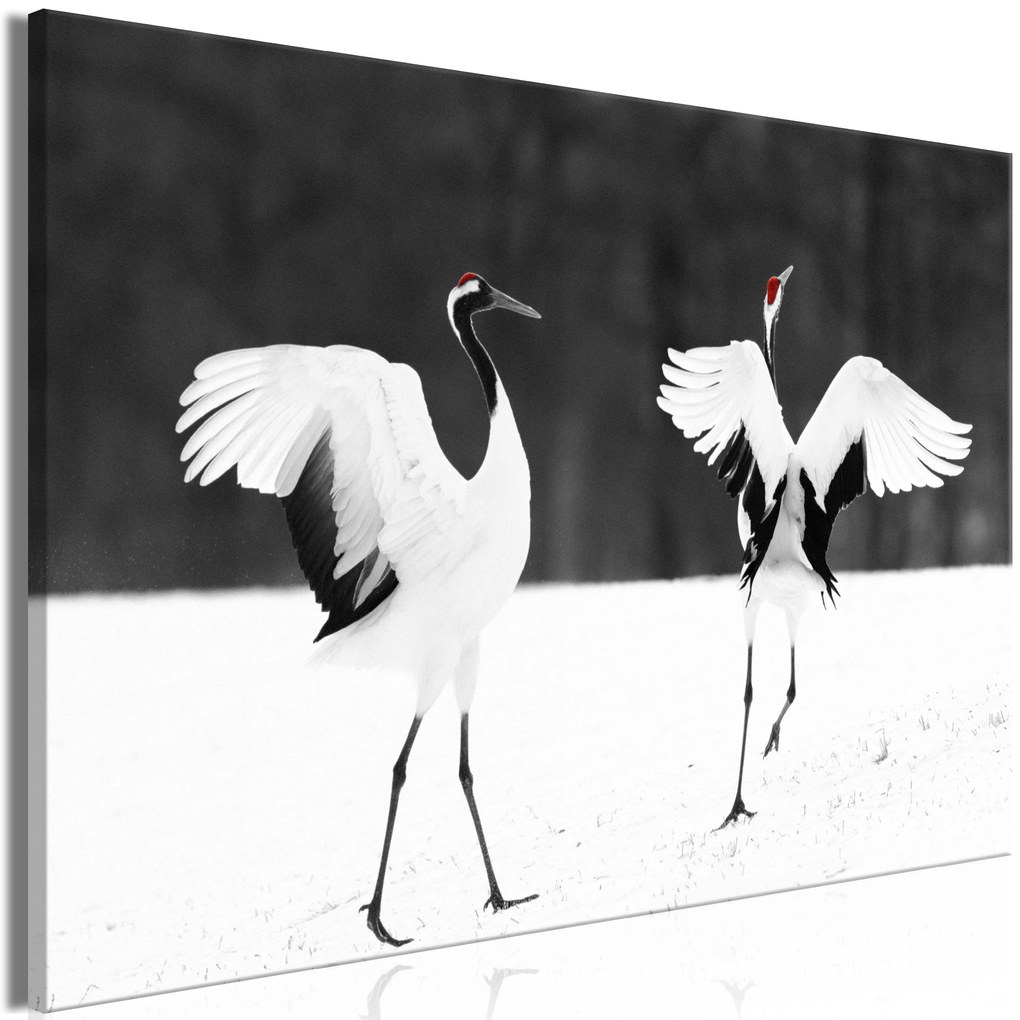 Artgeist Obraz - Dancing Cranes (1 Part) Wide Veľkosť: 120x80, Verzia: Premium Print