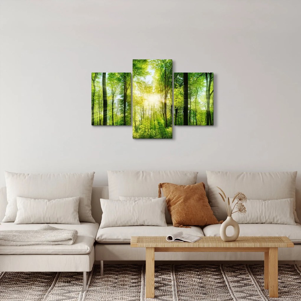 Obraz - Svitanie v lese (90x60 cm)