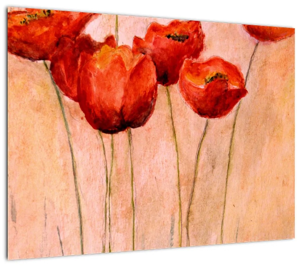 Obraz - Červené tulipány (70x50 cm)