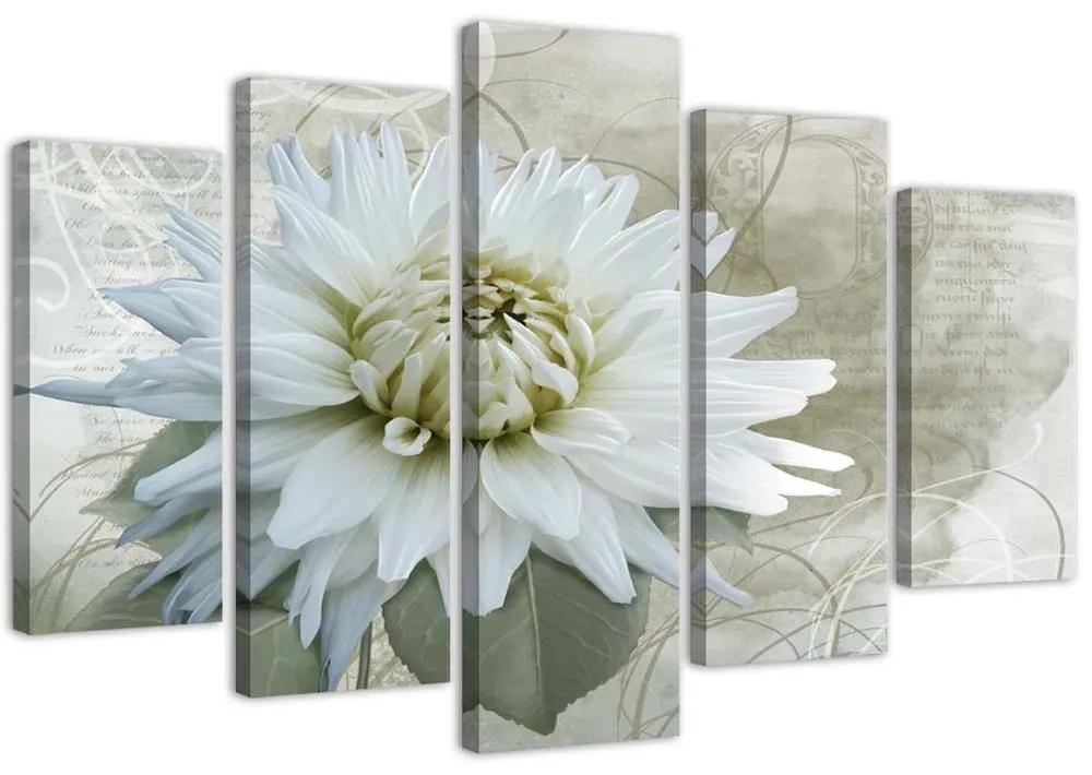 Obraz na plátně pětidílný Bílá květina béžová Vintage - 150x100 cm