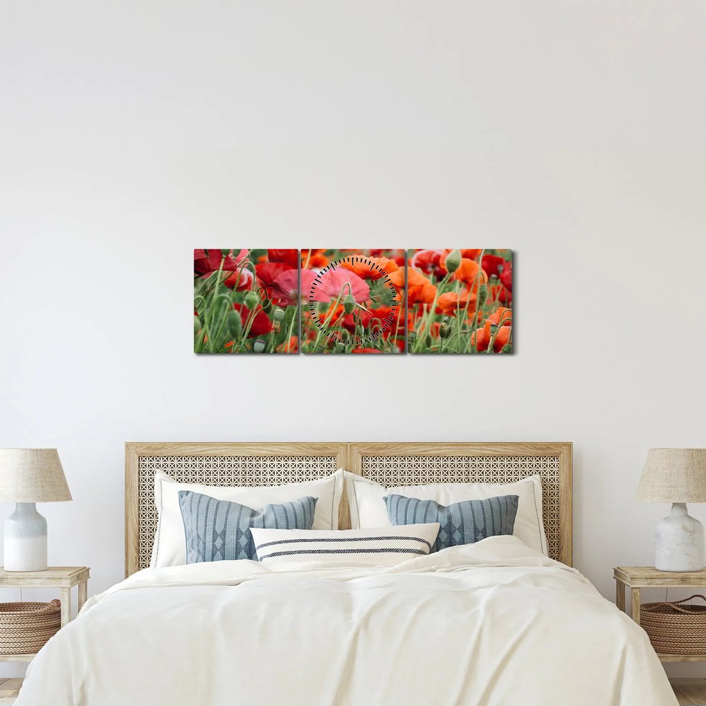 Obraz z poľa vlčích makov (s hodinami) (90x30 cm)