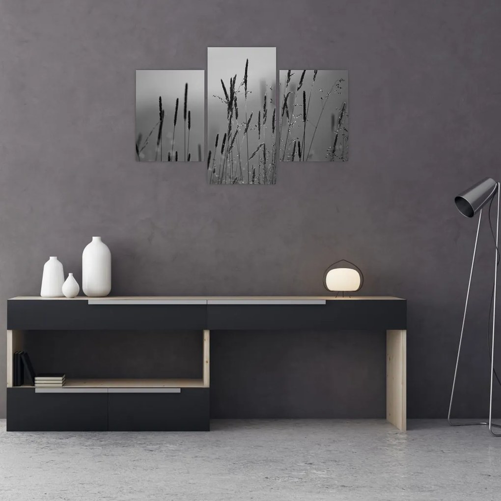 Obraz - Steblá trávy (90x60 cm)