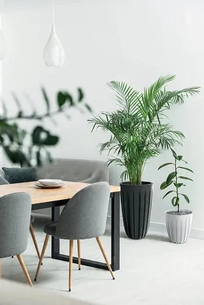 Kvetináč Warios - výber z 11 prevedení