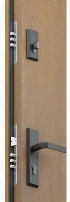 Kovové vchodové dvere P68 Artemida 90 Ľ dub zlatý