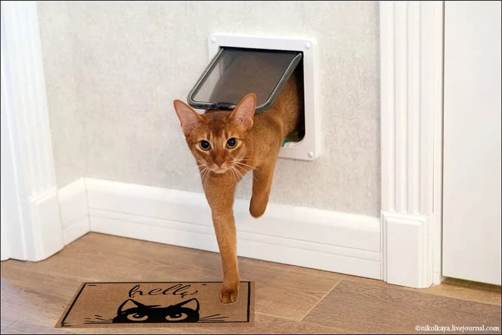 Hanse Home, Rohožka Hello s mačkou 105703 – na von aj na doma, 45x70, hnedá, chodba / predsieň